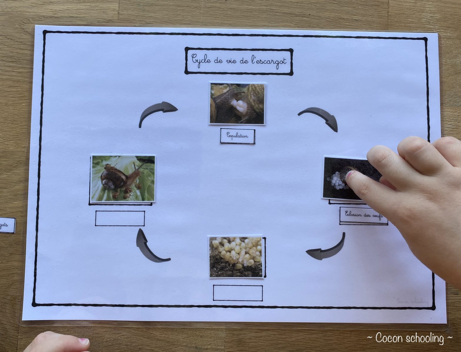 Thème l’escargot CoconSchooling