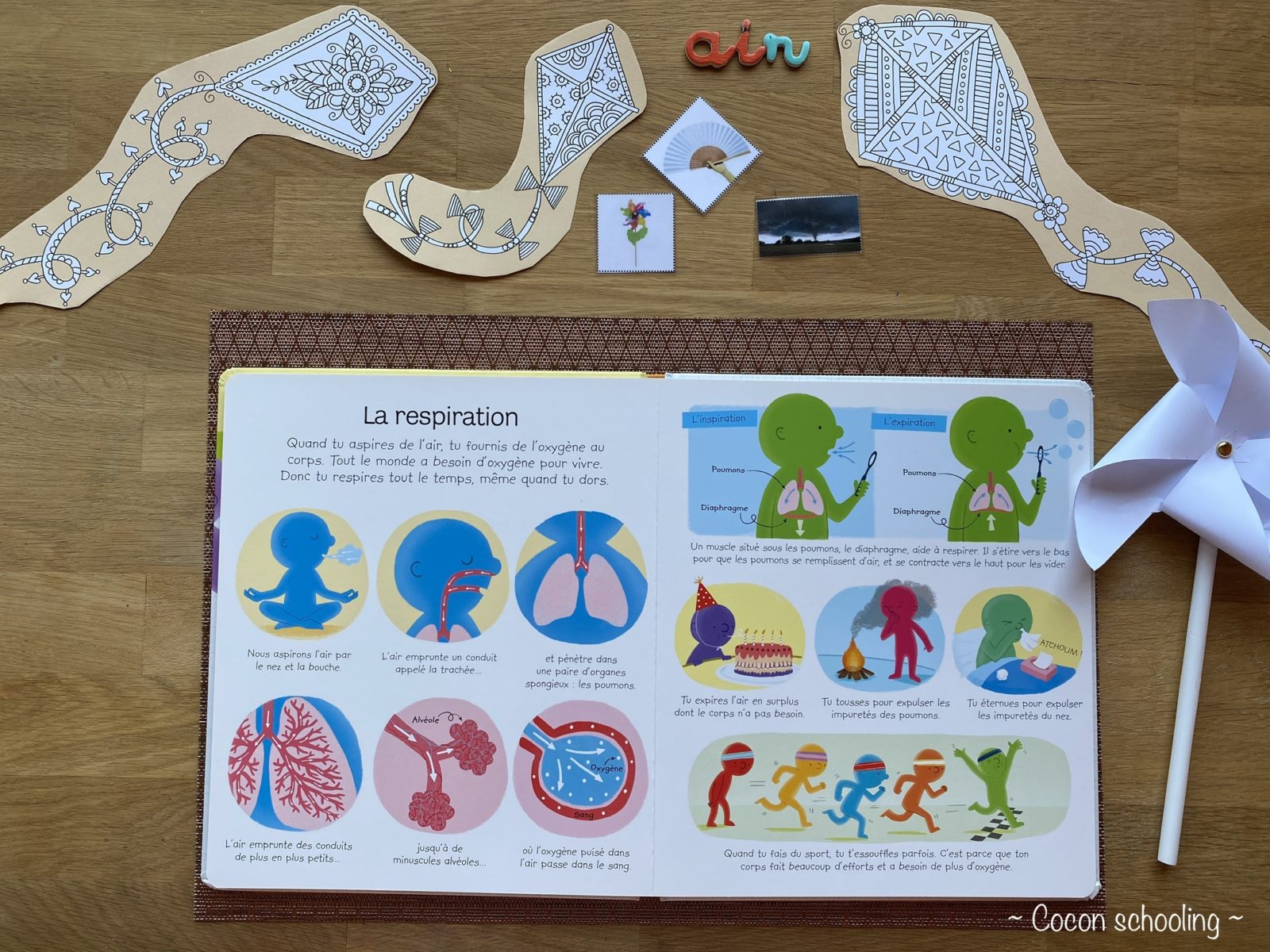 Thème: Les 4 éléments – Cocon-Schooling