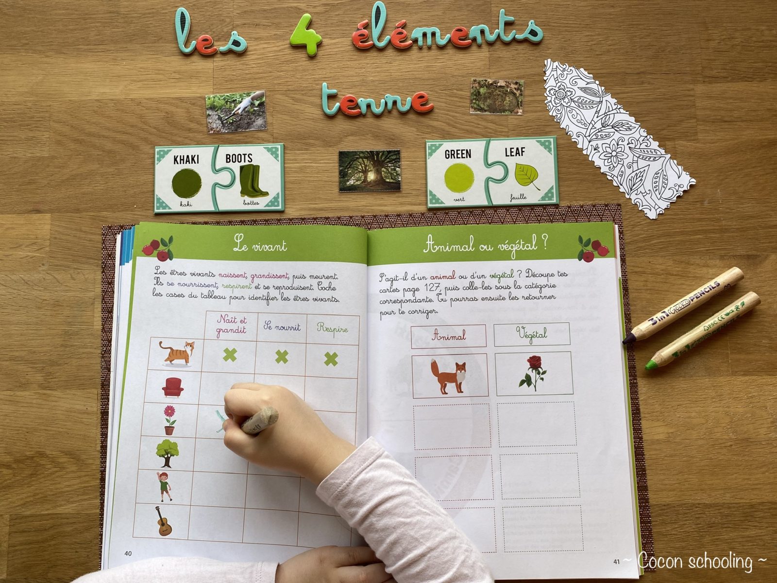 Thème: Les 4 éléments – Cocon-Schooling
