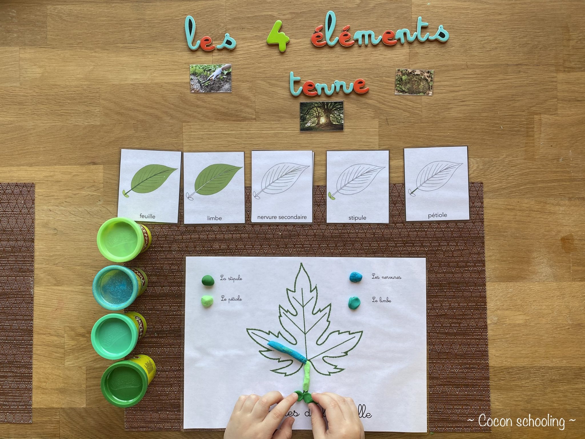 Activité Sur Les 4 éléments Maternelle